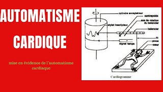 Cours 12 SVT Automatisme Cardiaque Terminale [upl. by Adnawed]