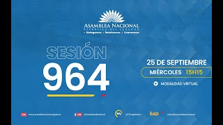 Sesión 964 del Pleno de la Asamblea Nacional [upl. by Kenwood687]