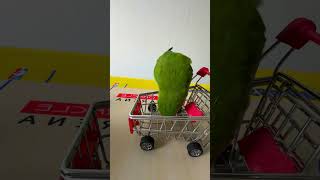 Bird Training  Smart lovebird Parrot  Smart Little Cute Parrot training smartparrot cute [upl. by Yeca]