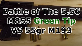 M855 62gr Green Tip VS M193 55gr [upl. by Inail]