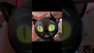 Review of Eek The Cat by Mindscope Halloween TALKING CAT [upl. by Ahsiekan]