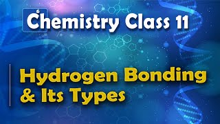 Hydrogen Bonding and Its Types  Nature of Chemical Bond  Chemistry Class 11 [upl. by Amik]