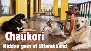 Hidden gem of Uttarakhand  Chaukori  Pet friendly stay [upl. by Cartan]