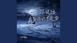 你说过我期待的不是雪 磁性男声版 [upl. by Elyrrad292]