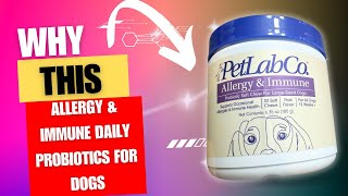 Review of PetLab Allergy amp Immune Daily Probiotics for Dogs [upl. by Marucci]