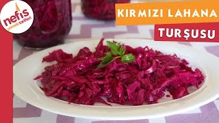 Kırmızı Lahana Turşusu  Turşu Tarifi  Nefis Yemek Tarifleri [upl. by Vonni]