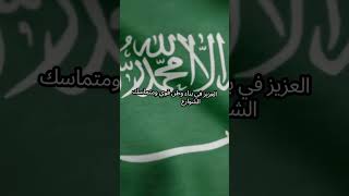 احتفال اليوم الوطني السعودي 94 [upl. by Abebi818]