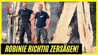 So zersägen wir eine Robinie 💪  KreativWood [upl. by Sapienza612]