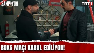 Boks maçı kabul ediliyor  SampiyonTRT 19 Bölüm [upl. by Ide]