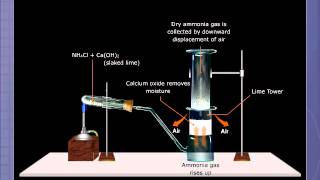 Preparation of Ammonia [upl. by Annuahs]