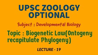 UPSC ZOOLOGYDev Biology L19  Biogenetic LawOntogeny recapitulate Phylogeny Baers law DrRK [upl. by Jacquette]