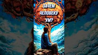 Зачем человеку ум Путь к Осознанности [upl. by Sacttler]