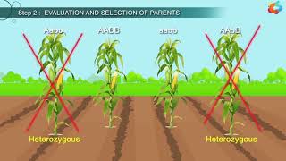 An Introduction To Plant Breeding [upl. by Einahc]