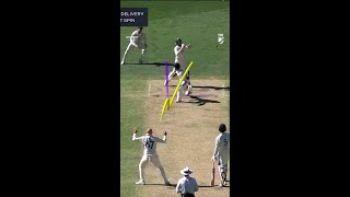 Lyon spins it 10 degrees to bamboozle Virat [upl. by Jariv481]