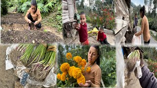 Daily Village Lifestyle Onion Pyaj Ropdai phool Ko Bue Tip dai  Village Life Vlog [upl. by Naened]