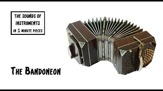 The Bandoneon The Sounds of Instruments in 1 min pieces [upl. by Hawken717]