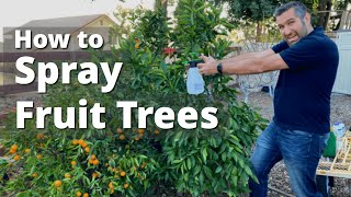 Spraying Fruit Trees and Garden Plants for Insects Fungus amp Disease  Come Let us Spray [upl. by Ilyah]