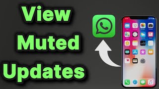 How to view muted updates on WhatsApp in iPhone [upl. by Gwenora]