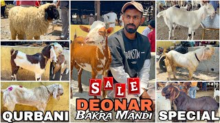 Deonar bakra mandi latest update 2024  Qurbani live goats [upl. by Walworth]