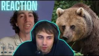 BLUR REACTION  a ORSO VS UOMO di JUMBODRILLO [upl. by Dijam377]