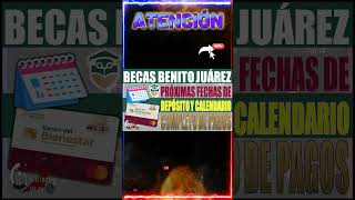 🔴🥳calendario completo de pagos de las Becas Benito Juárez 2024💸🤑 [upl. by Shanan]