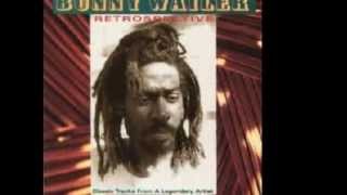 BUNNY WAILER  Soul Rebel Retrospective [upl. by Seleta227]