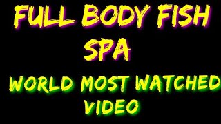 Full Body Fish Spa By Deepa Aquarium 9930051312 [upl. by Volin]