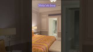 Hotel De Luxe youtubeshorts hotel travel [upl. by Consolata306]