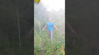 Hydraulic driven rotating threepronged sprinkler agricultural sprinkler for watering vegetable [upl. by Oigroeg202]