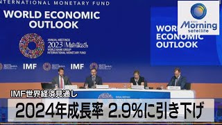 IMF世界経済見通し 2024年成長率 29％に引き下げ【モーサテ】（2023年10月11日） [upl. by Peedus838]