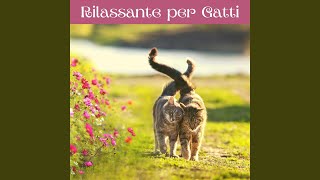 Musica rilassante per gatti [upl. by Haneekas912]