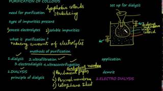 Dialysis purification of colloids class 12 chemistrysurface chemistryvideo 14 [upl. by Kcered447]