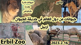 حديقة الحيوان  حديقة الحيوانات في اربيل حيوانات مهددة بالانقراض [upl. by Millicent]