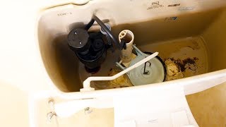 How to Change a Toilet Flapper Fix Running Toilet [upl. by Carbrey]