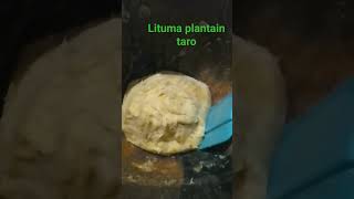 Lituma Taro Plantain et son jambonneau fumé aux legumes [upl. by Green386]