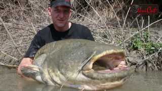 Belle Journèe Camarguemonster an der Rhone mit Patrick Göbel [upl. by Abernathy]