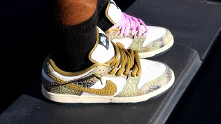 Nike SB Dunk Low Pro QS Alexis Sablone Chameleon Review and on Feet [upl. by Gan]