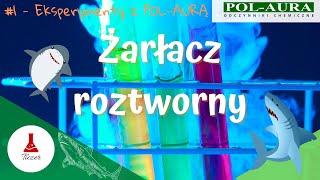 Żarłacz Roztworny  Eksperymenty z PolAurą [upl. by Costanzia905]