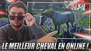 AVOIR LE MEILLEUR CHEVAL DU MODE ONLINE   Red Dead Redemption Online [upl. by Timon650]