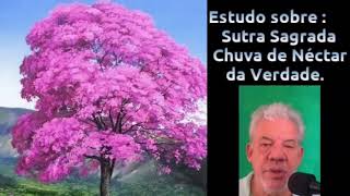 Estudo sobre a Sutra Sagrada Chuva de Néctar da Verdade [upl. by Perretta316]