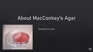 About MacConkeys Agar  FY BSc Microbiology practical series  Media basics  Biochemical tests [upl. by Ardnuassac]