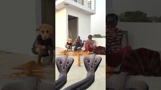 bholenath vpx viralvideo shortvideo shortsviral viralshorts trending trendingshorts [upl. by Ahsemot]