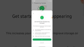 How to send disappearing messages on WhatsApp 2024 [upl. by Enrika]