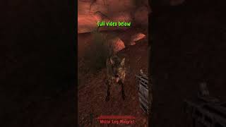 Invincible dogmeat falloutnewvegasmemes fallout [upl. by Nnaillij724]