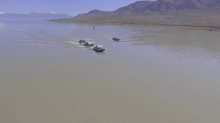 Utah lake carp removal loy fisheries [upl. by Assilym325]