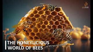 Exploring 8 known species of honey bees  Geohoney [upl. by Topliffe]