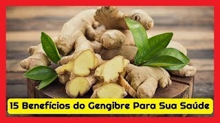 🍲 15 Benefícios do Gengibre Para Sua Saúde 🥗 [upl. by Refannej528]