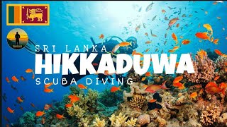 Hikkaduwa Scuba Diving by TravelHut  Sri Lanka  හික්කඩුව [upl. by Roselane628]