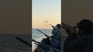 Day 1 of 60 seaduckhunting duckhunting pitbosswaterfowl duckboat [upl. by Edrea]