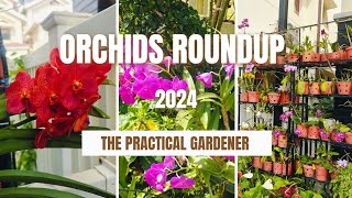 Orchid Roundup Media  Watering  The Practical Gardener [upl. by Atsilac]